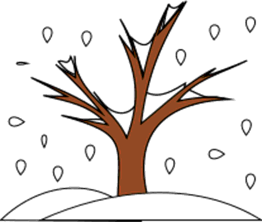winter