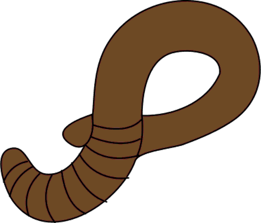 worm