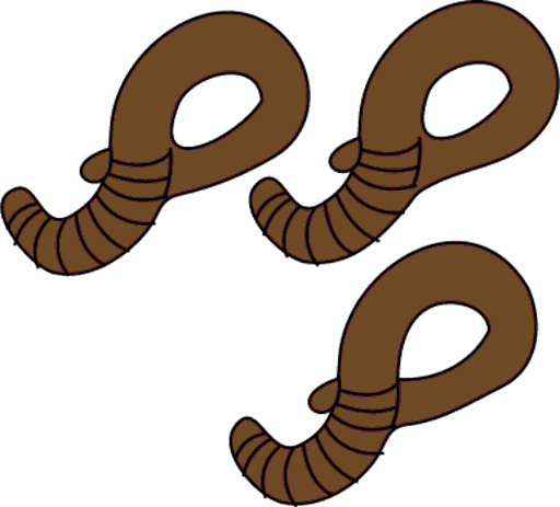 worms