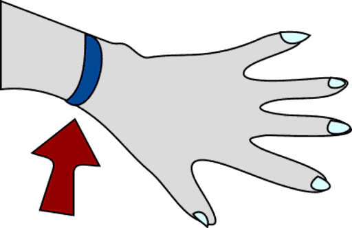 wristband