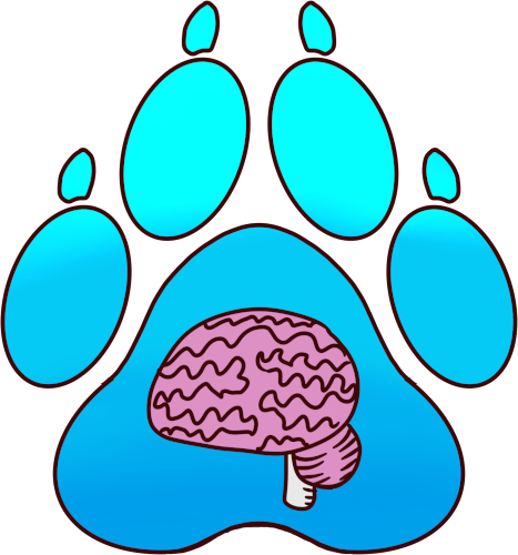 mental health folder