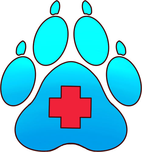 medical folder