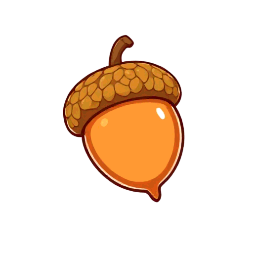 acorn
