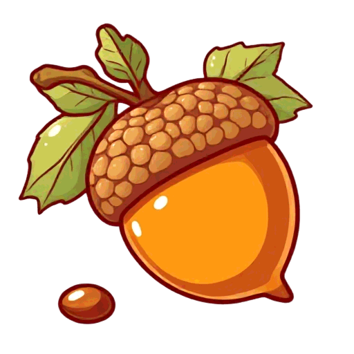 acorn