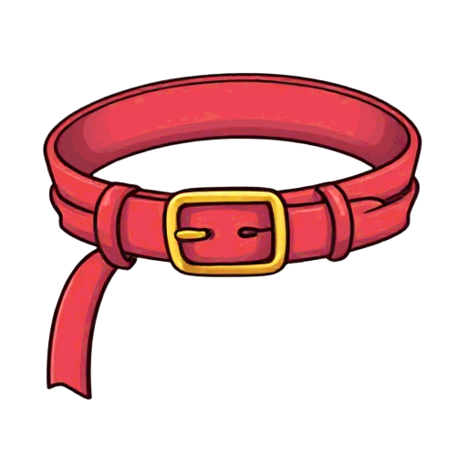 belt