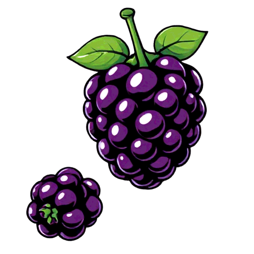 blackberries