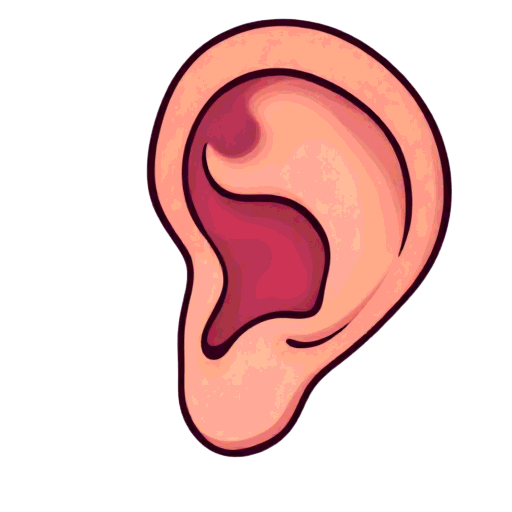 ear