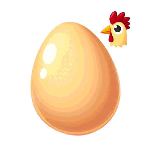 chicken egg