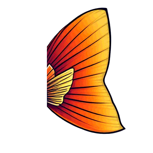 fin