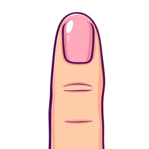 fingernail