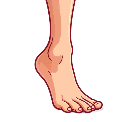 foot