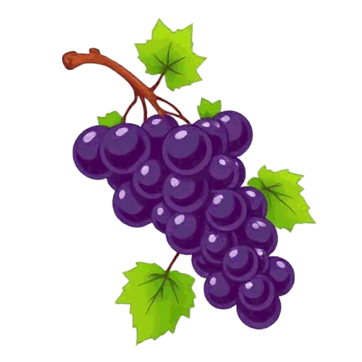 bunch of grapes