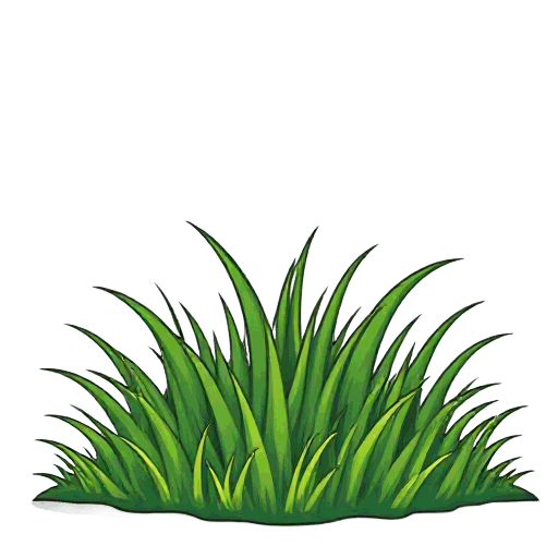 grass