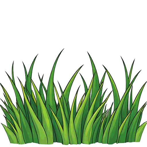 grass