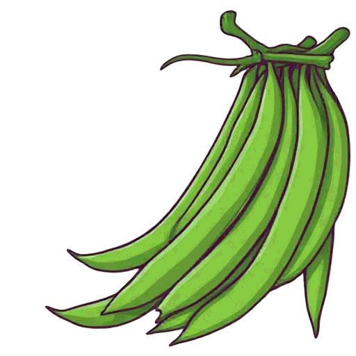 runner beans