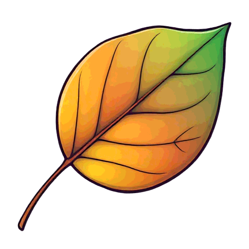 leaf
