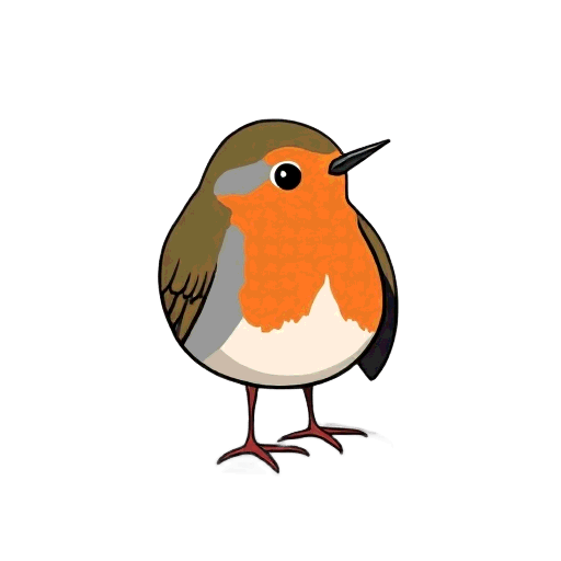 robin