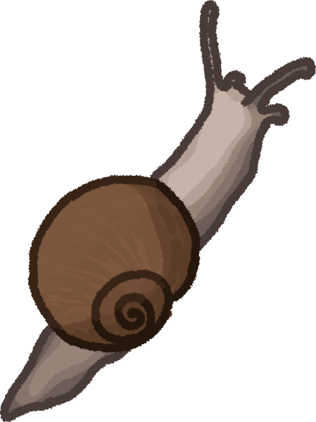 snail