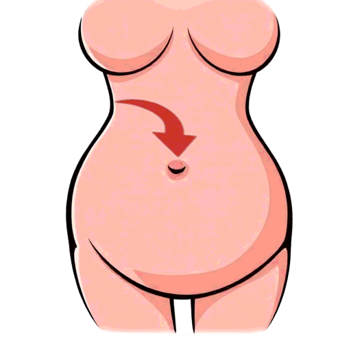 tummy button