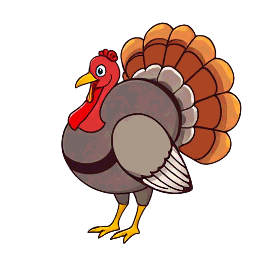 turkey