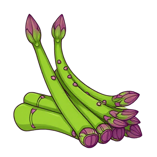 asparagus