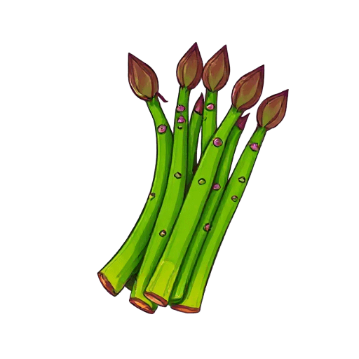 asparagus