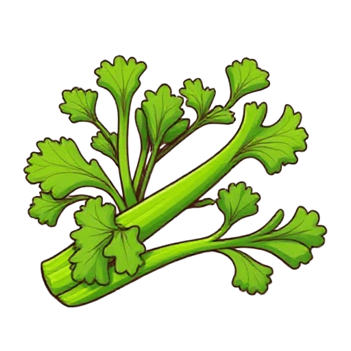 celery