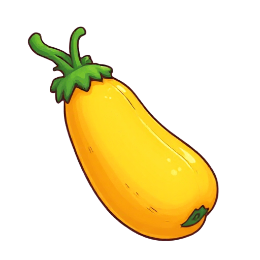 courgette