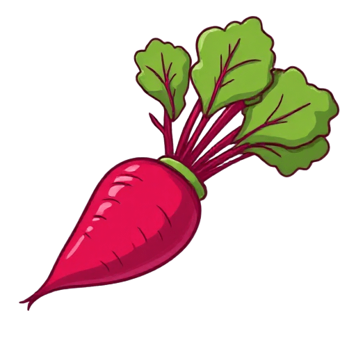 radish