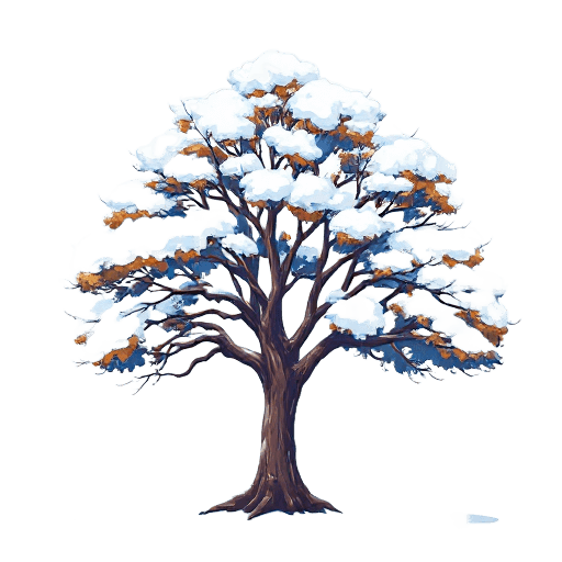 snow