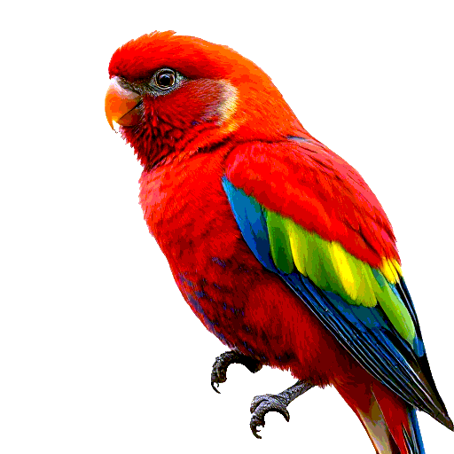 Eastern Rosella
