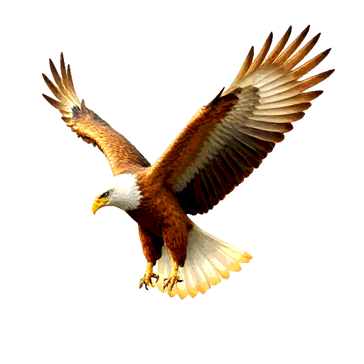 Golden Eagle