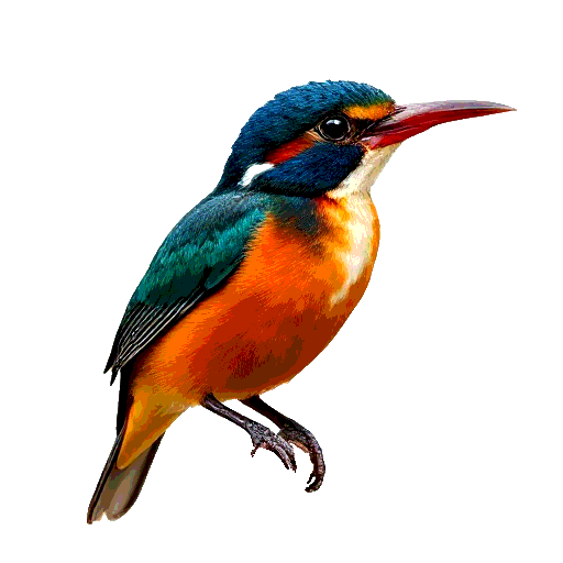 Oriental Dwarf Kingfisher
