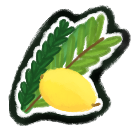 lulav and etrog