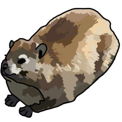 rock hyrax