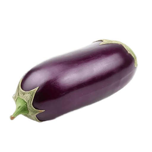 aubergine