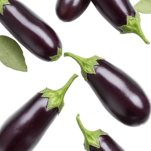 aubergine