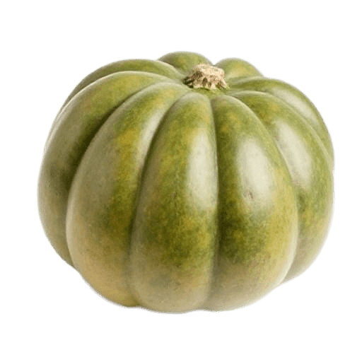 butternut squash
