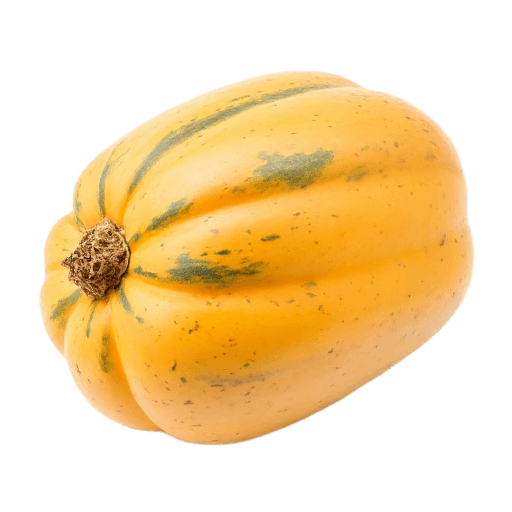 butternut squash