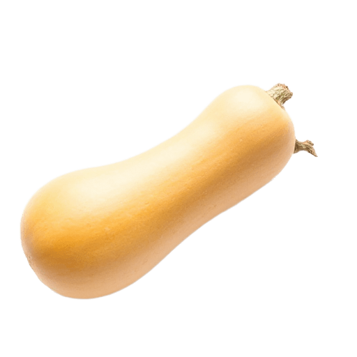 butternut squash