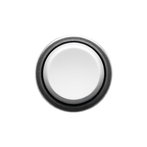 button switch