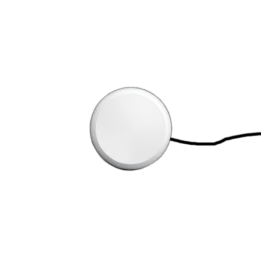 button switch