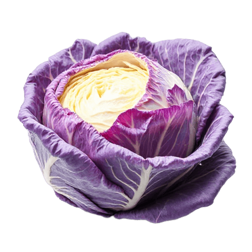cabbage
