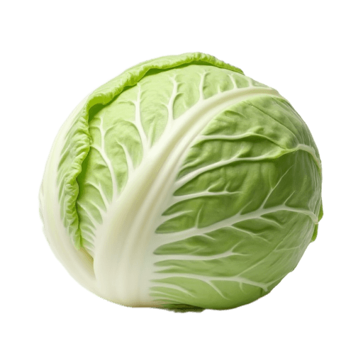cabbage