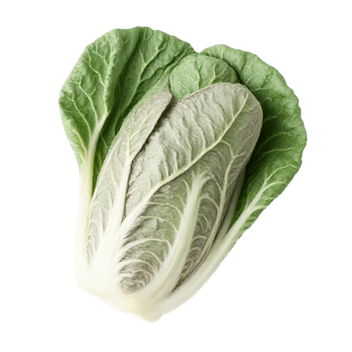 cabbage