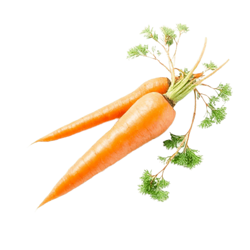 carrot