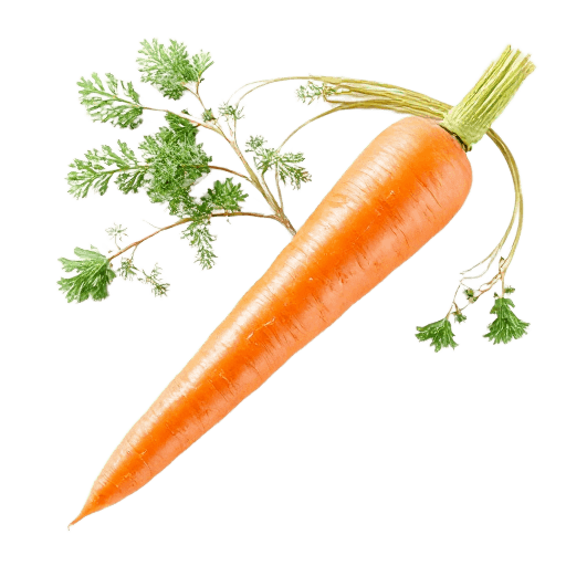 carrot