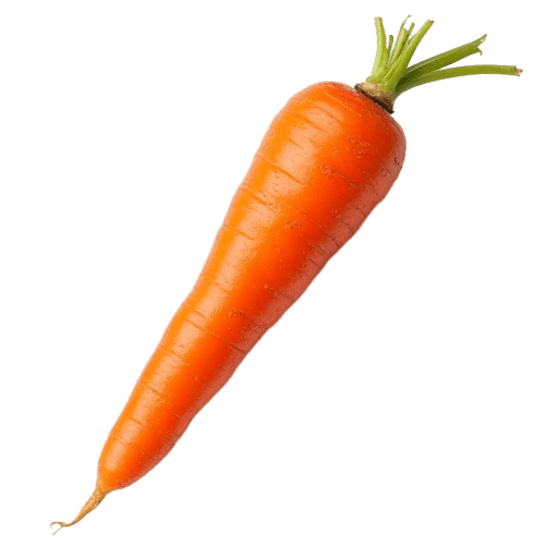 carrot