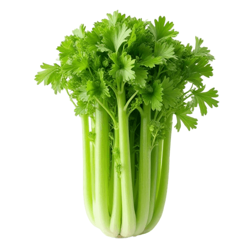 celery