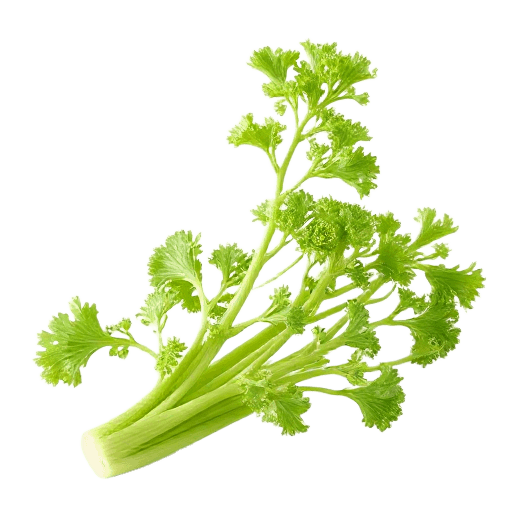 celery